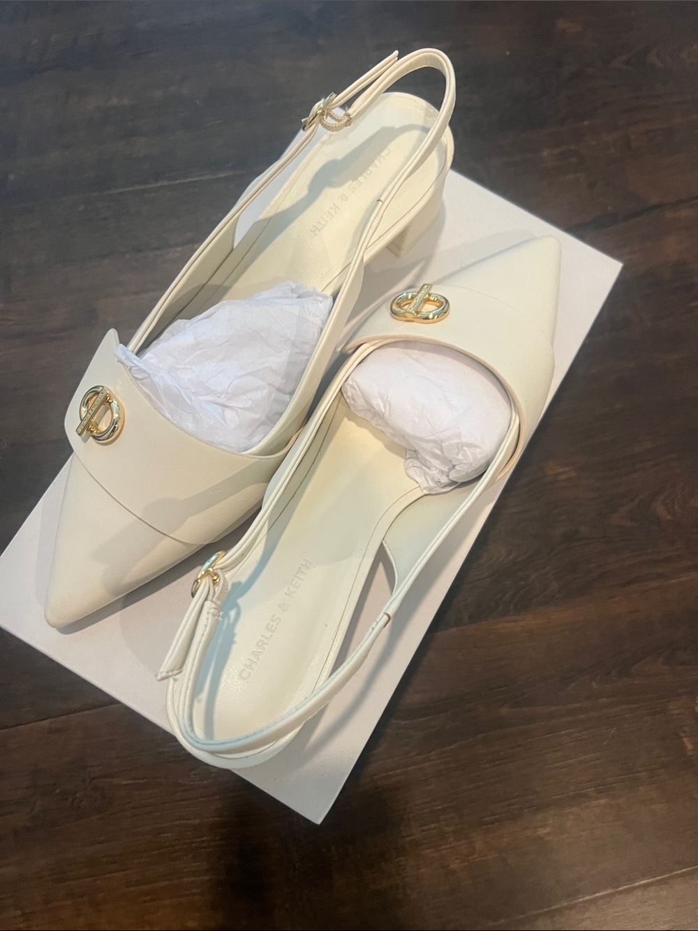 Charles & Keith Cream Pointed Slingback Flats with Gold Accents